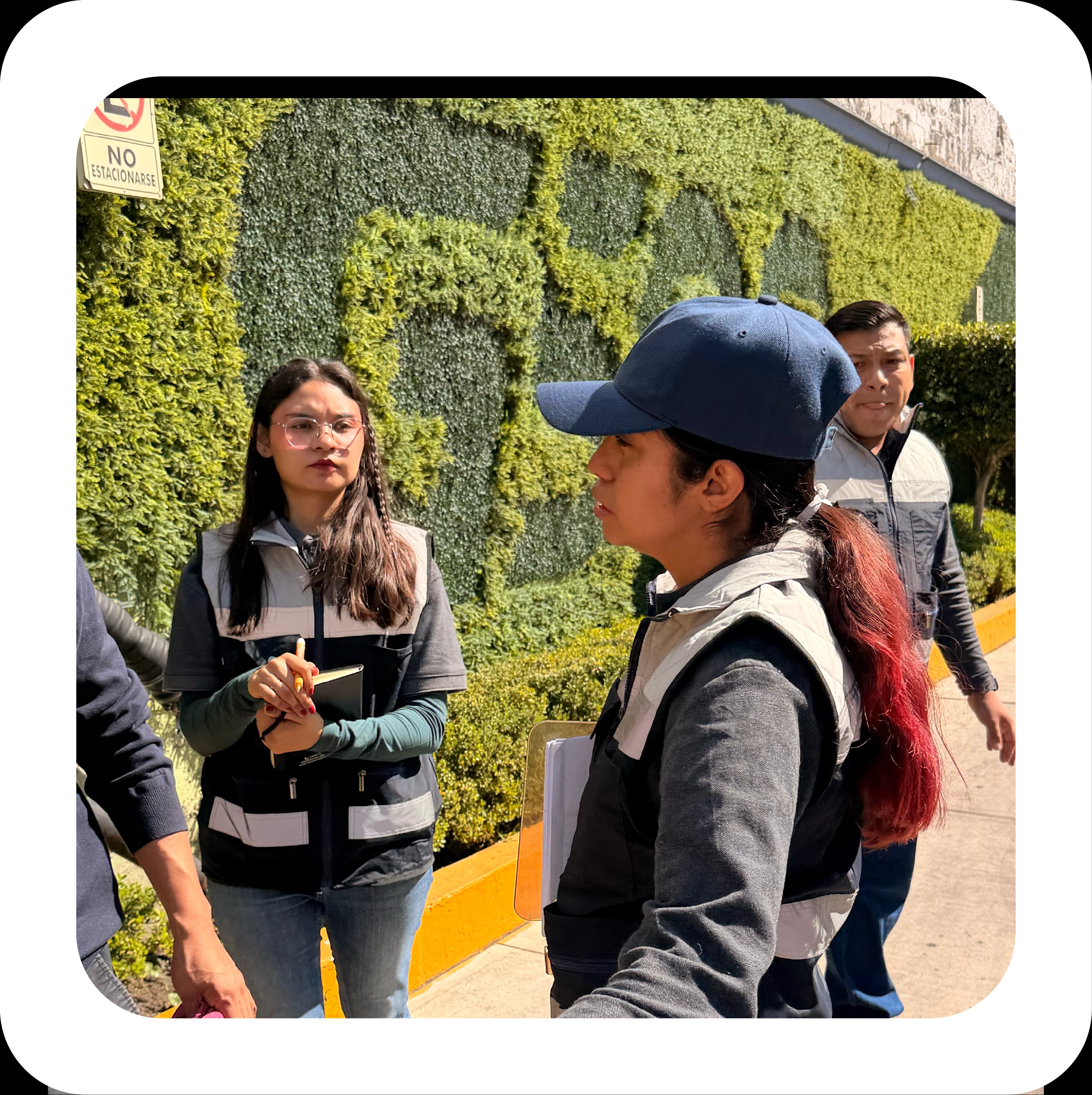 Servicios especializados