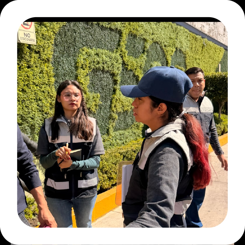 Servicios especializados